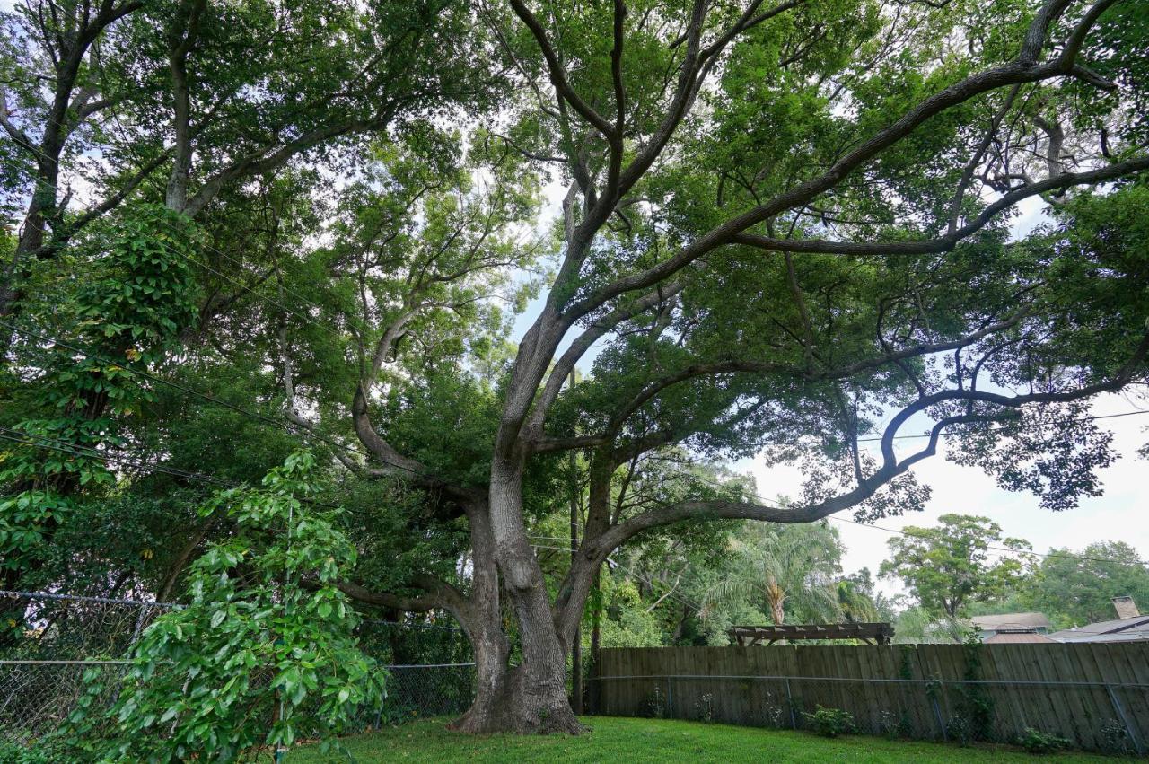 4 Bedroom Clearwater Vacation Home With Amazing Backyard エクステリア 写真