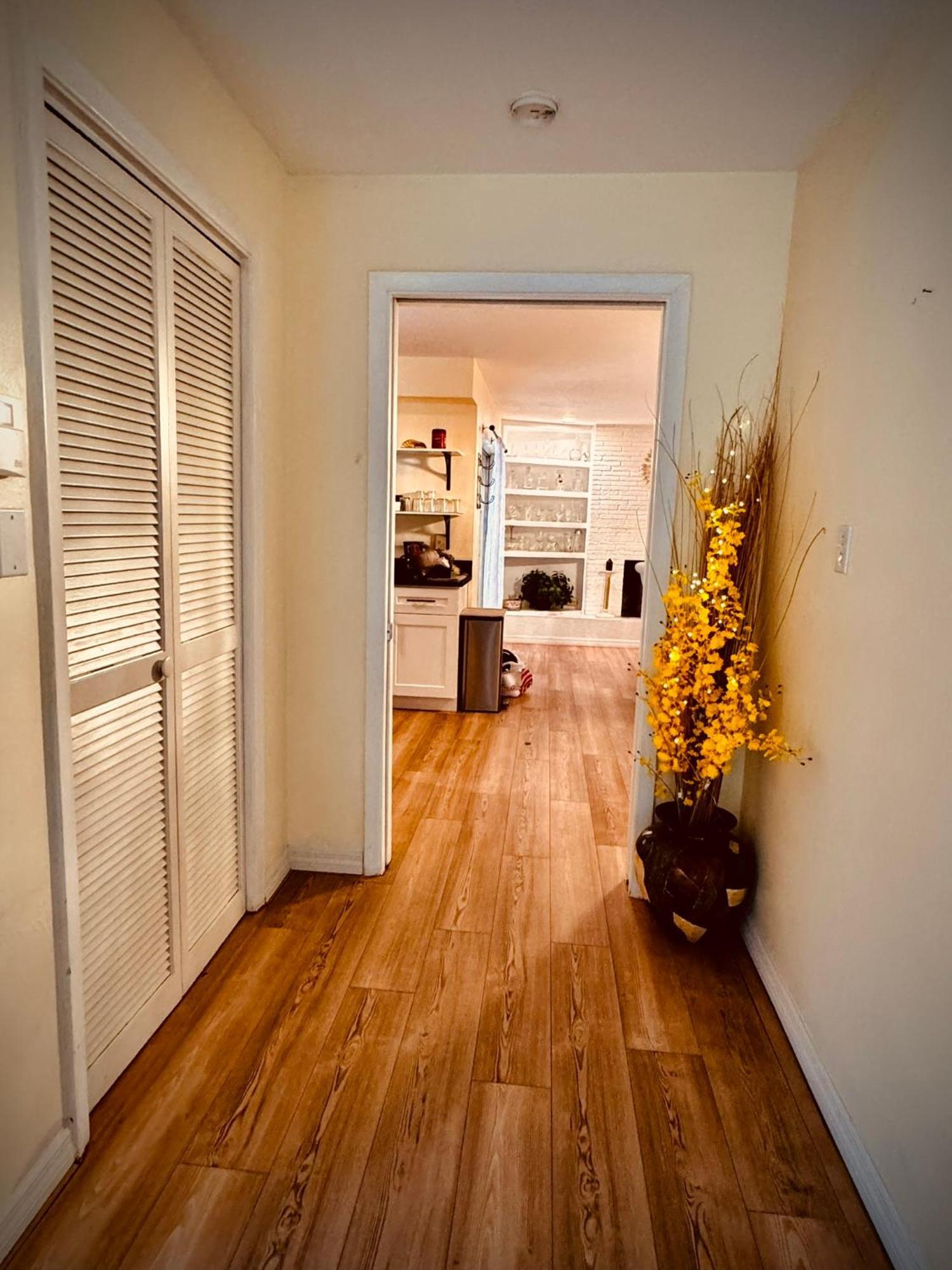 4 Bedroom Clearwater Vacation Home With Amazing Backyard エクステリア 写真